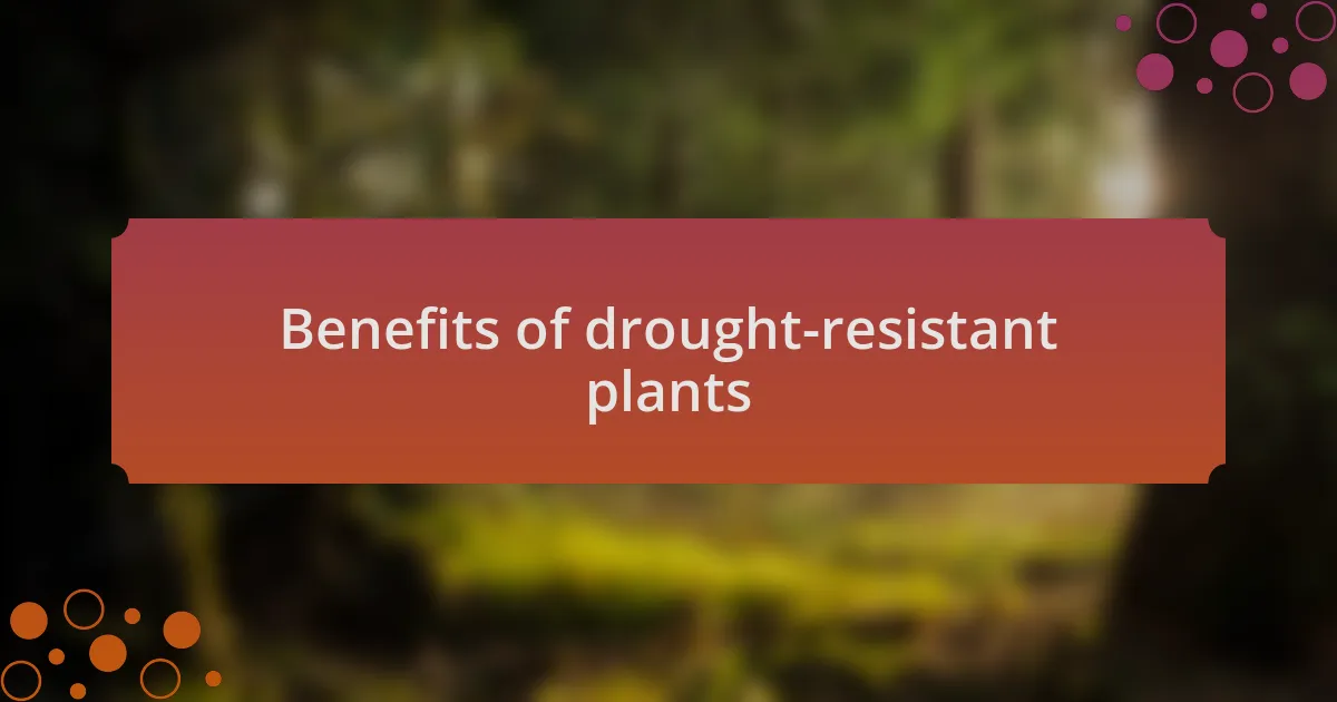 Benefits of drought-resistant plants