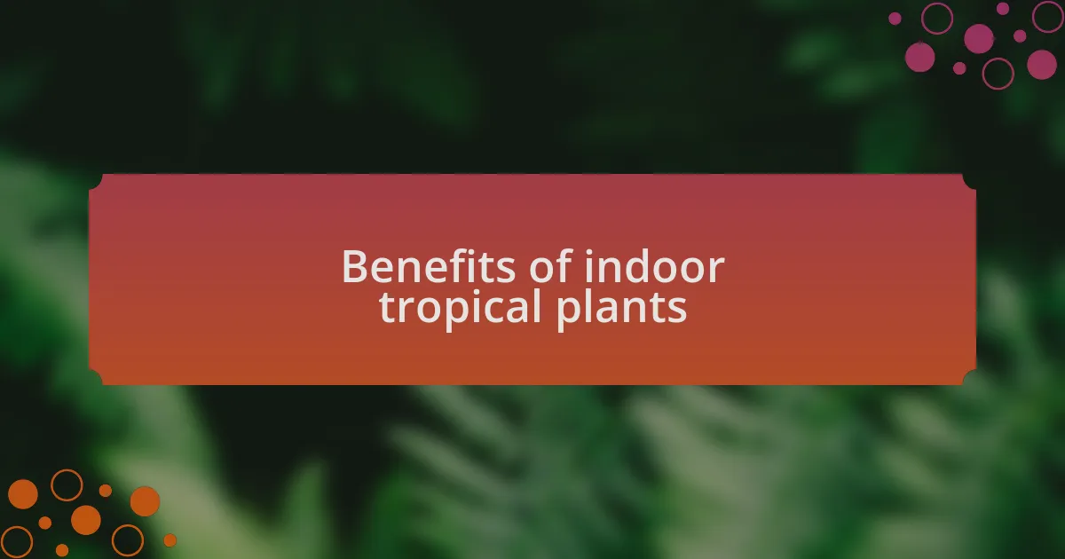 Benefits of indoor tropical plants