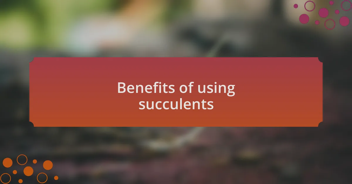 Benefits of using succulents