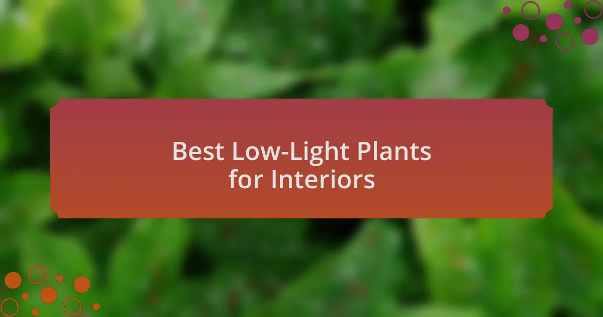 Best Low-Light Plants for Interiors