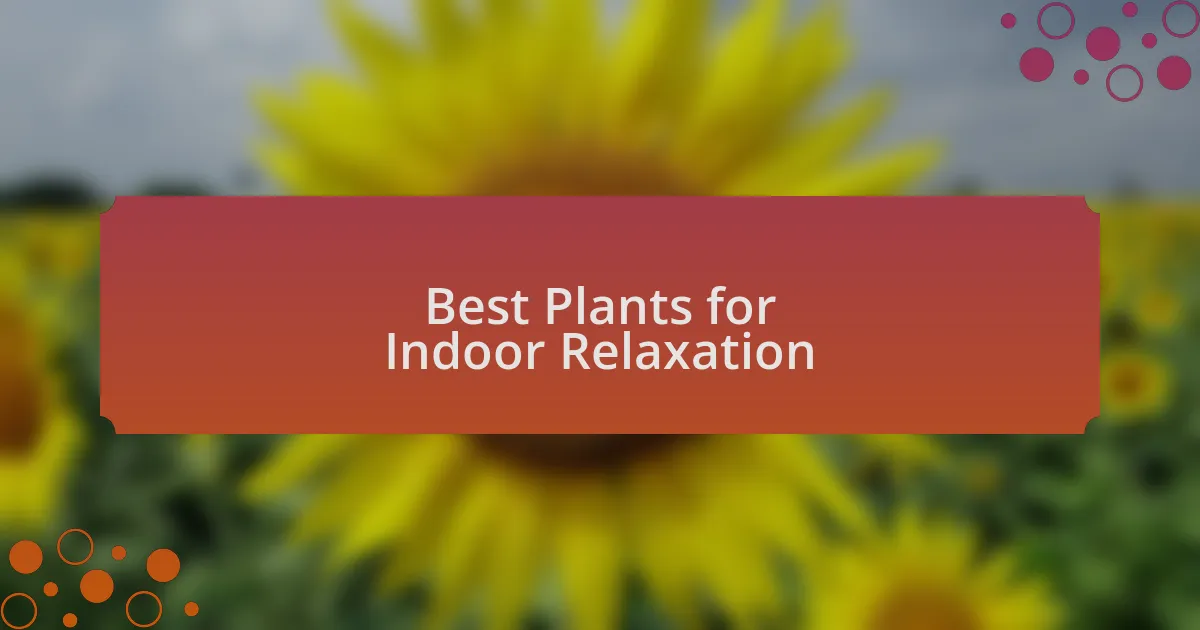Best Plants for Indoor Relaxation