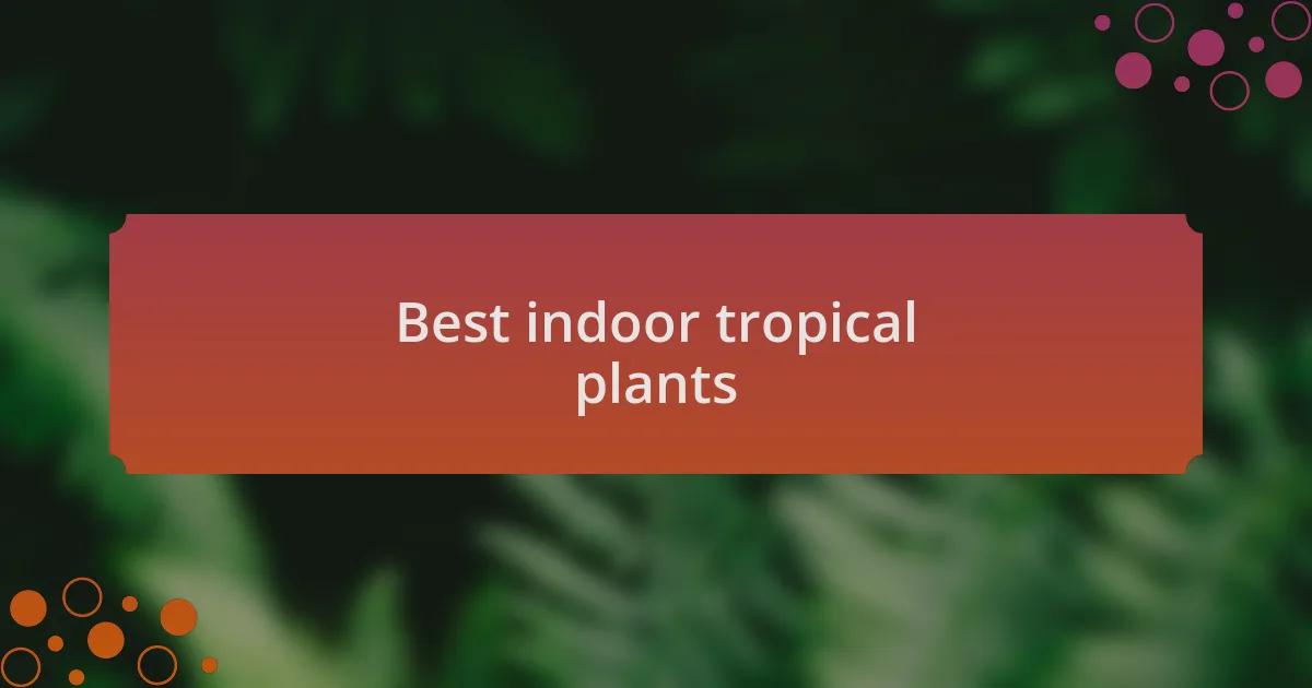 Best indoor tropical plants