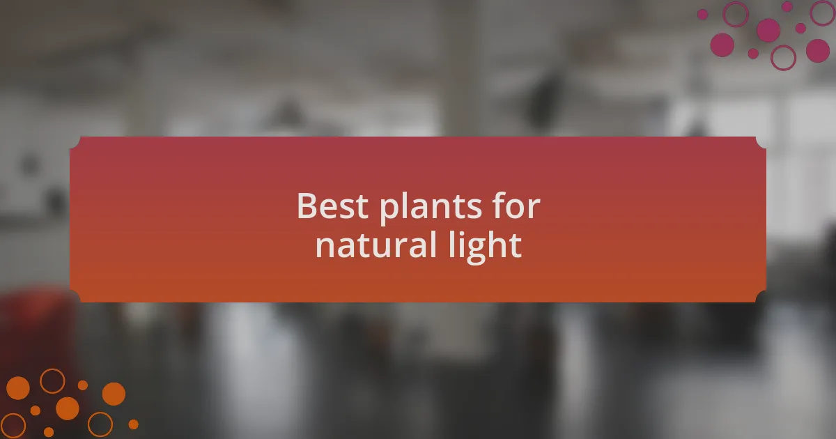 Best plants for natural light