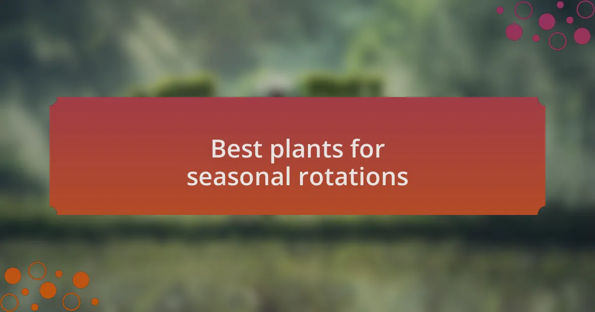 Best plants for seasonal rotations