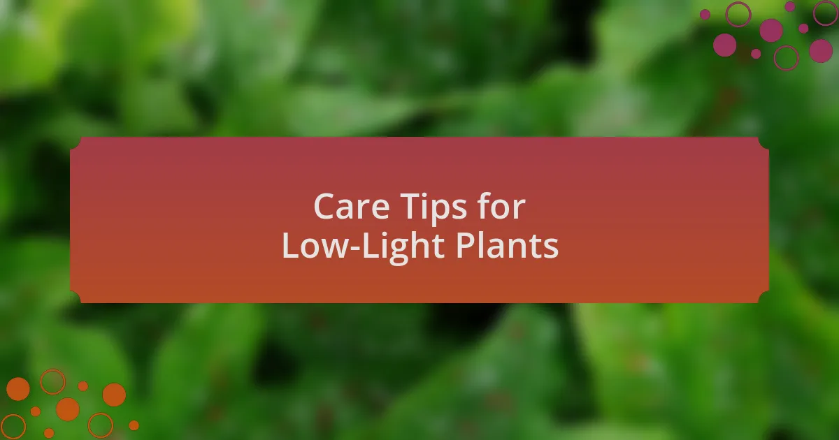 Care Tips for Low-Light Plants