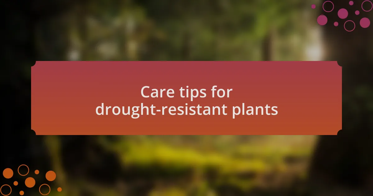 Care tips for drought-resistant plants