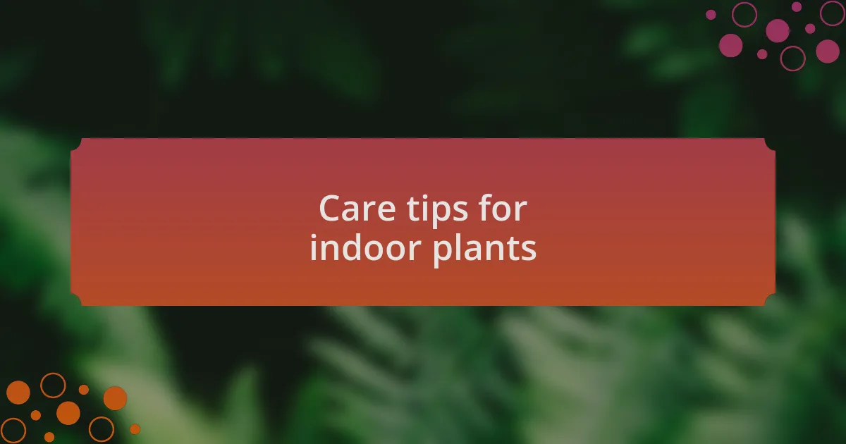 Care tips for indoor plants