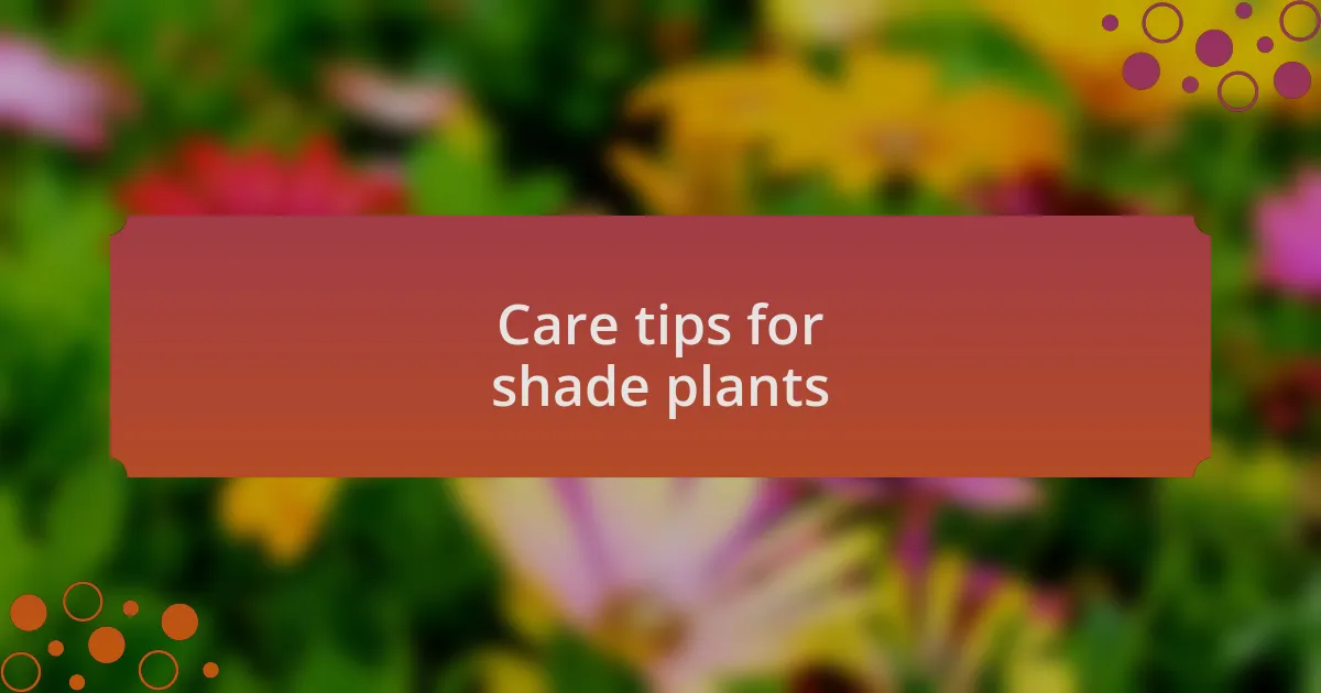 Care tips for shade plants