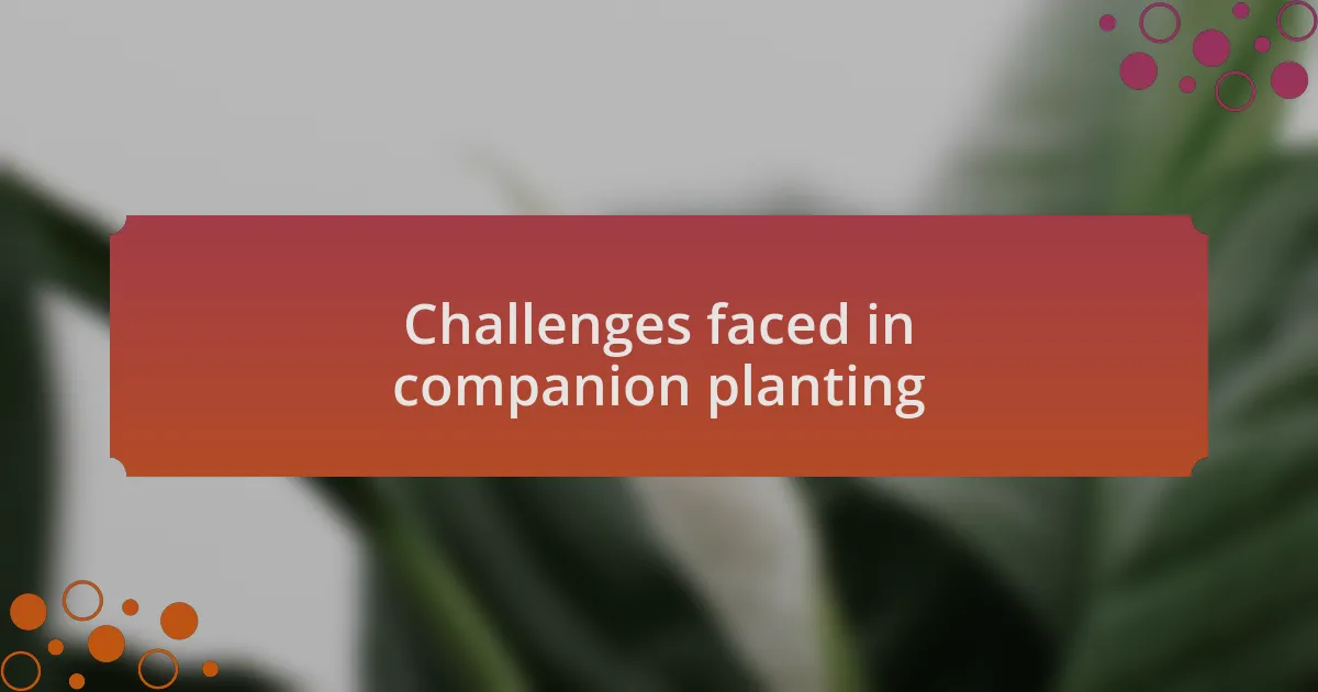 Challenges faced in companion planting