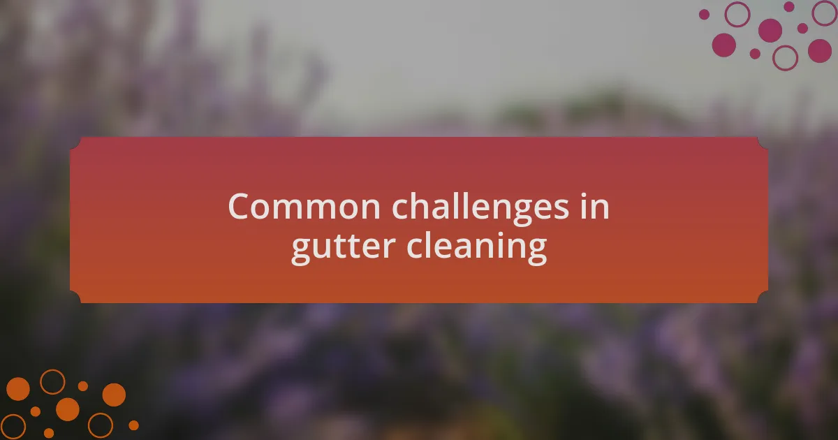 Common challenges in gutter cleaning