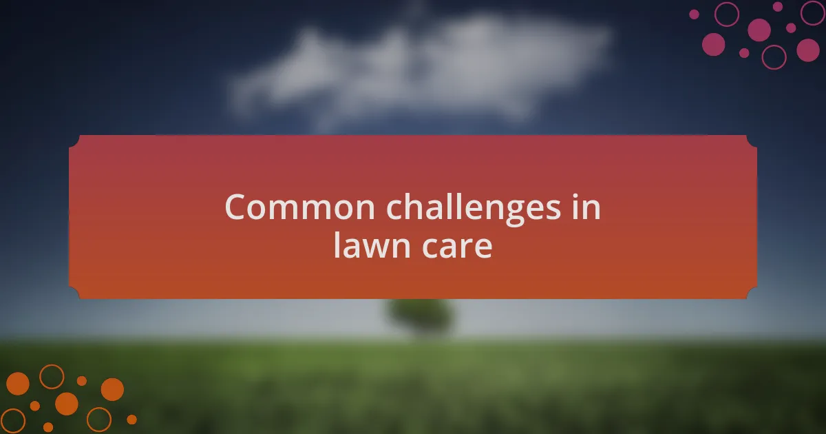 Common challenges in lawn care