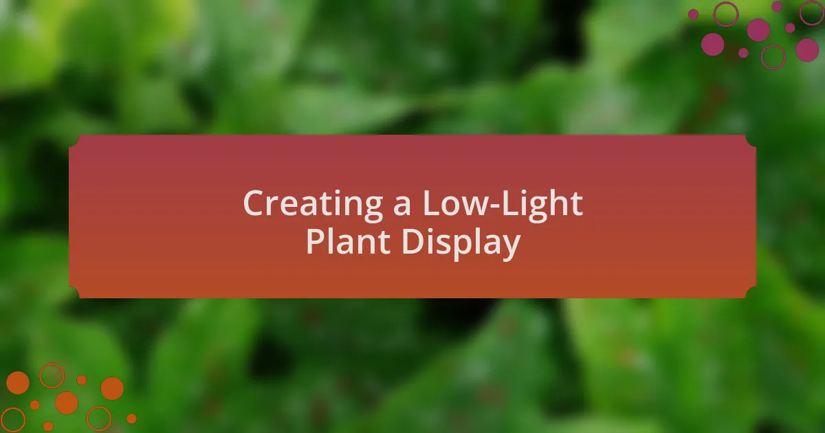 Creating a Low-Light Plant Display