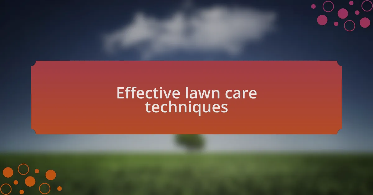Effective lawn care techniques