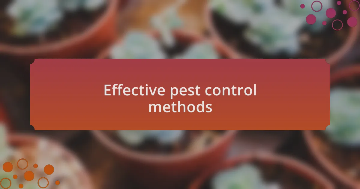 Effective pest control methods