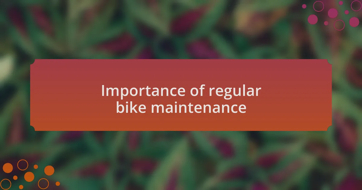 Importance of regular bike maintenance
