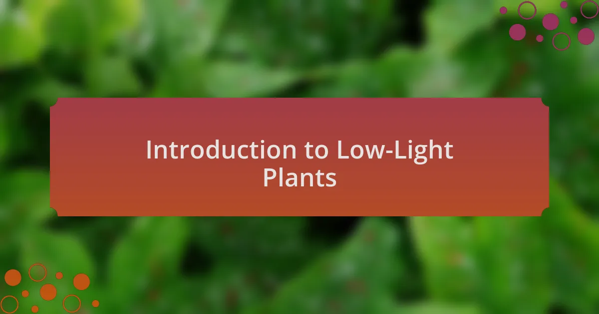 Introduction to Low-Light Plants