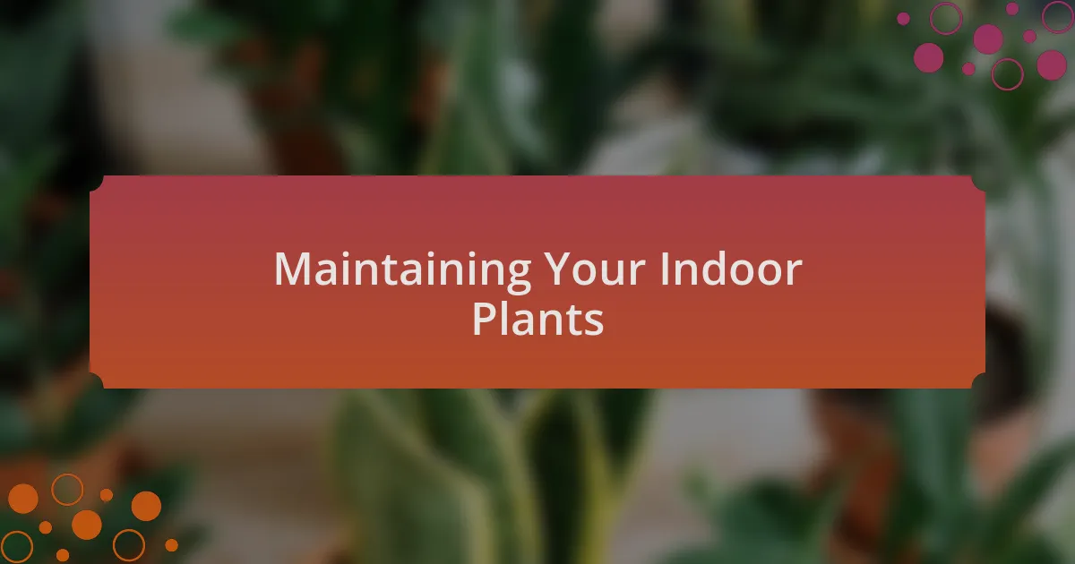 Maintaining Your Indoor Plants