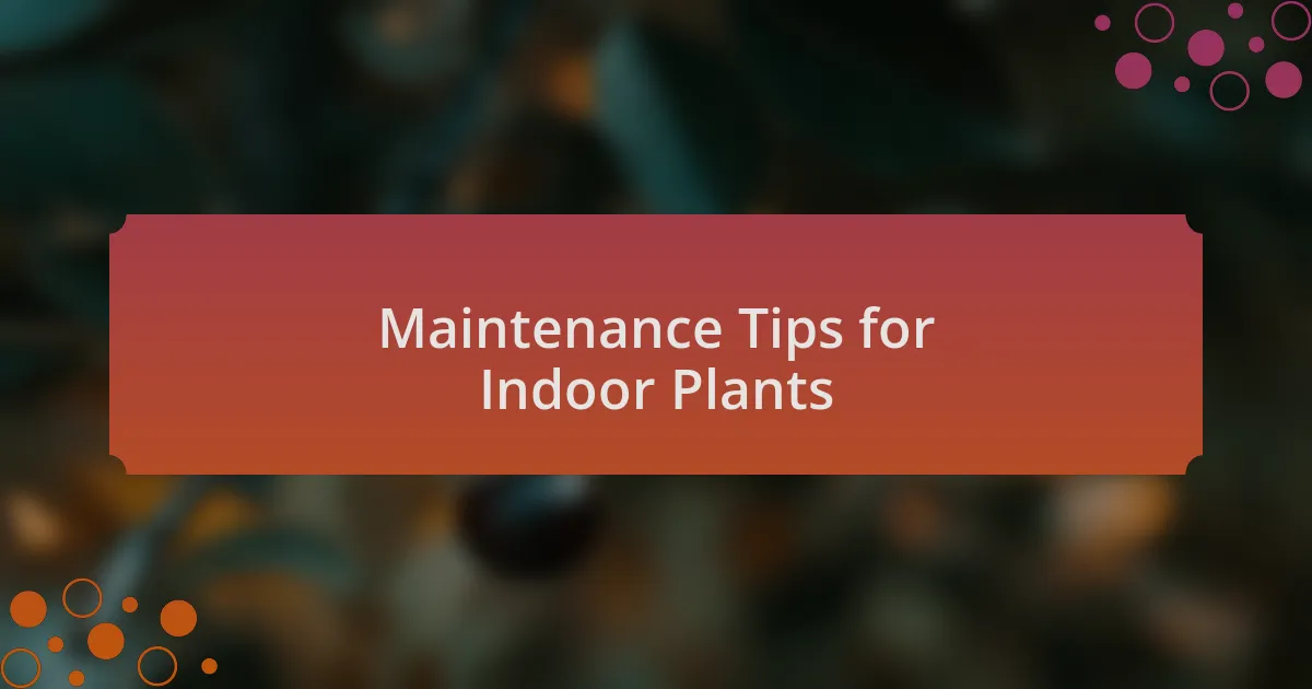 Maintenance Tips for Indoor Plants