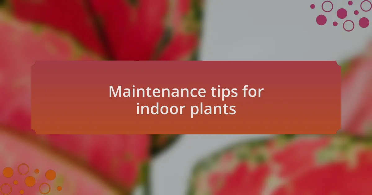 Maintenance tips for indoor plants