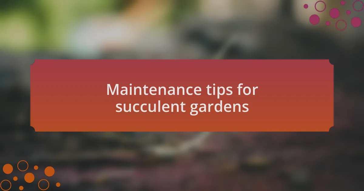 Maintenance tips for succulent gardens