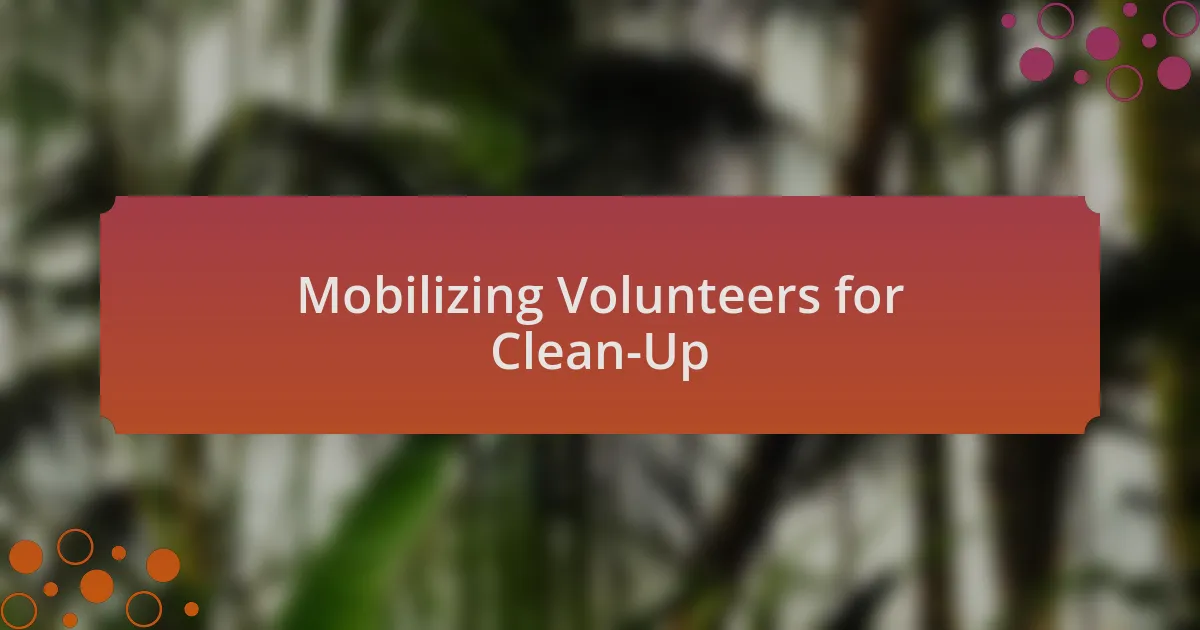 Mobilizing Volunteers for Clean-Up