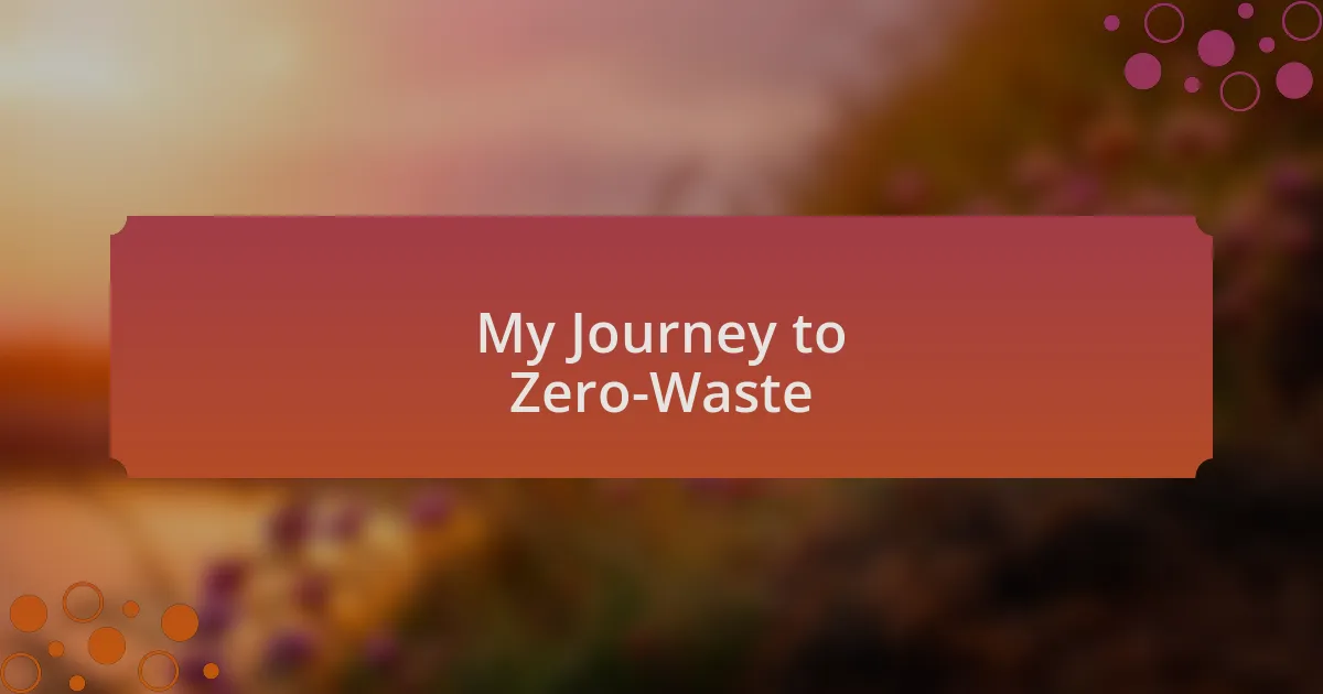 My Journey to Zero-Waste