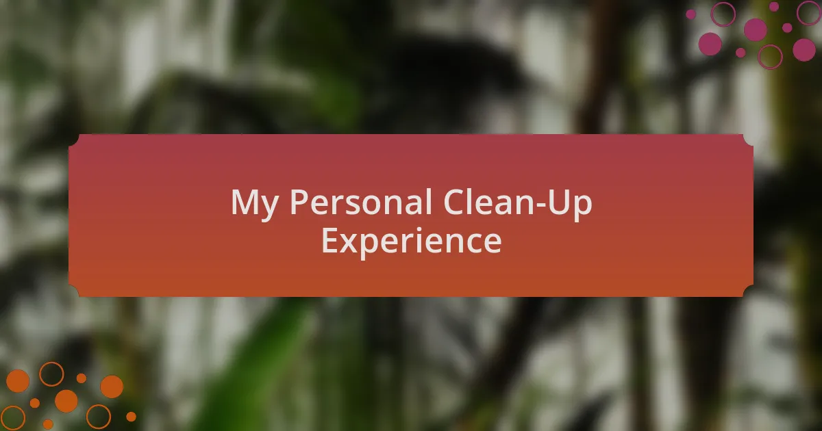 My Personal Clean-Up Experience