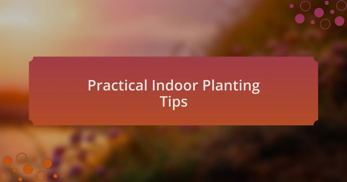 Practical Indoor Planting Tips