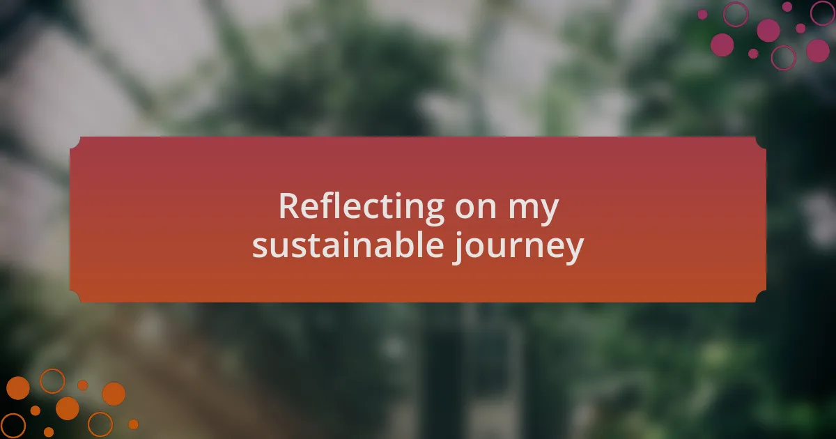 Reflecting on my sustainable journey
