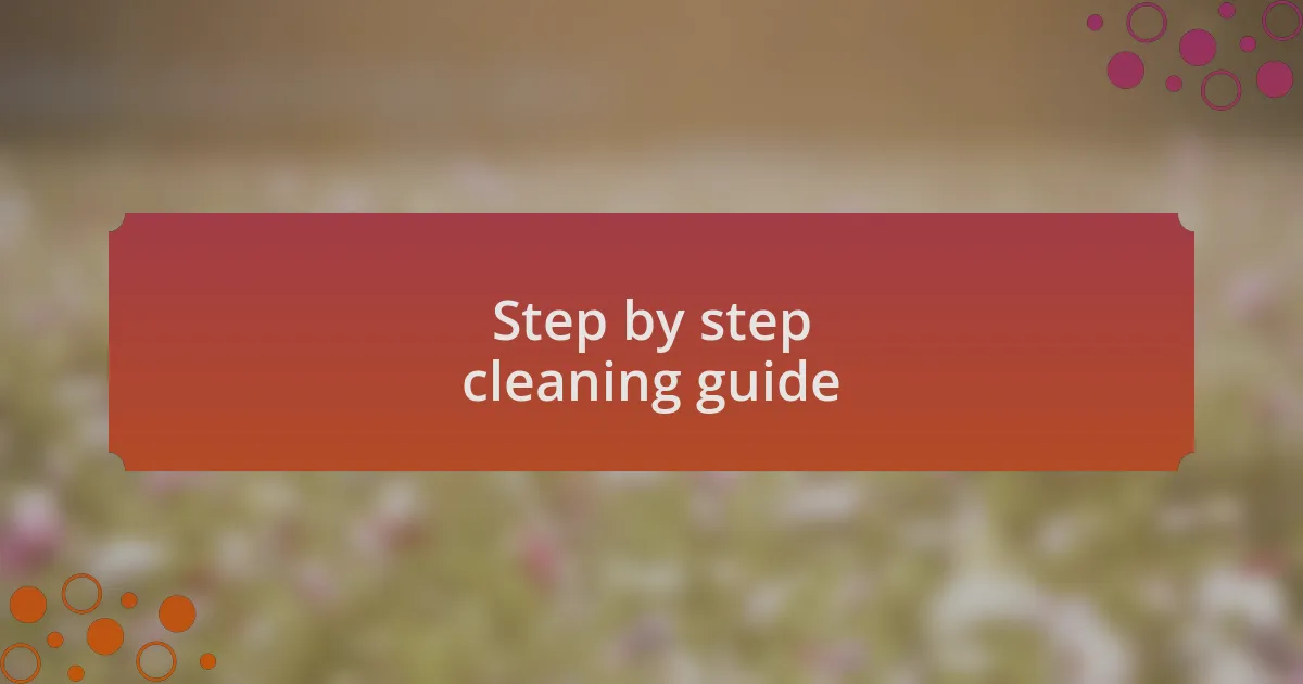 Step by step cleaning guide