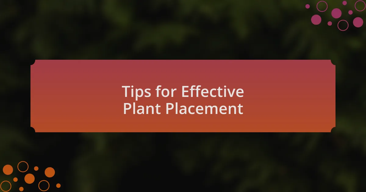 Tips for Effective Plant Placement