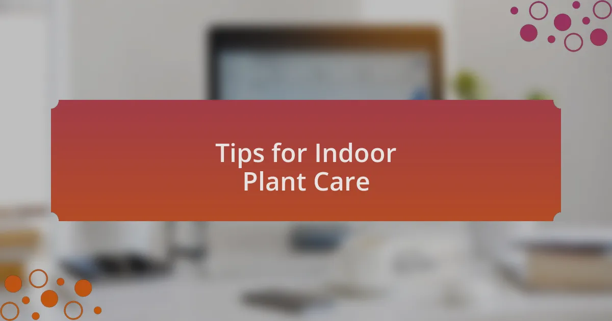 Tips for Indoor Plant Care