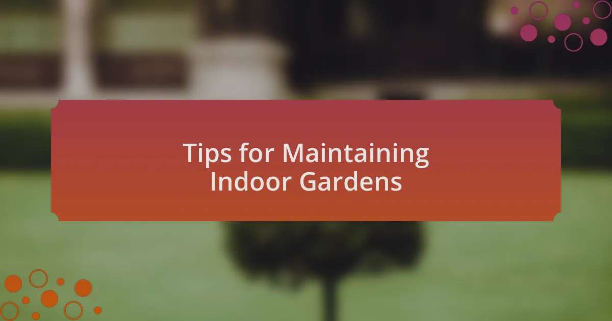 Tips for Maintaining Indoor Gardens