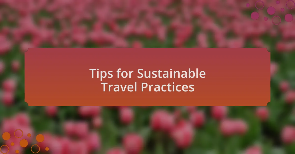 Tips for Sustainable Travel Practices