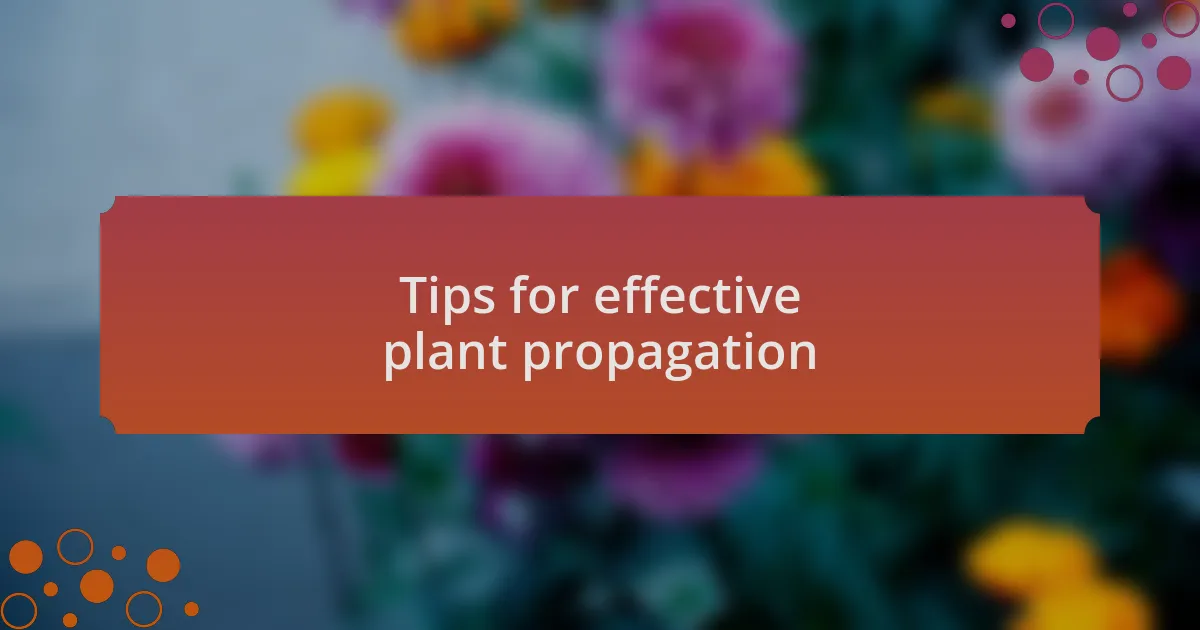 Tips for effective plant propagation