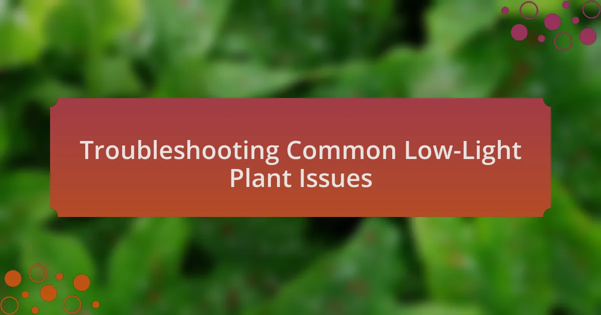 Troubleshooting Common Low-Light Plant Issues