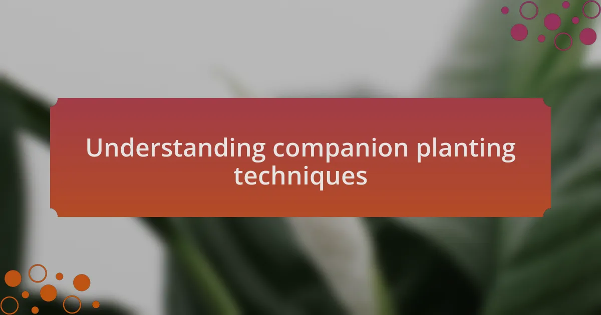 Understanding companion planting techniques